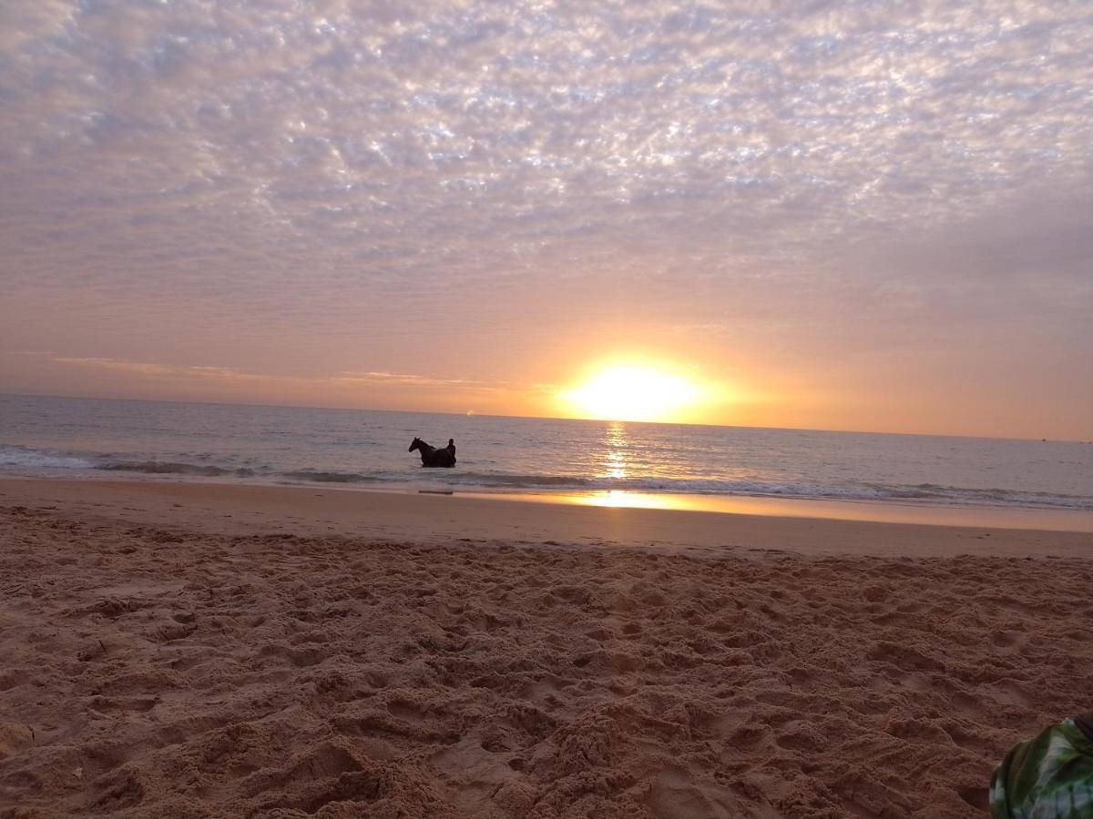 Paradisplage, 1 Minute De La Mer Saly Portudal Bagian luar foto